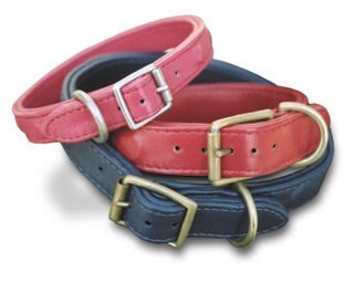 Dog Collars